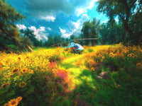 Art Print BonsAI - Sunflowers and Steel