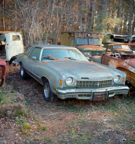 Photo Print  Yury Rachkov - Chevrolet Monte Carlo and the Pines