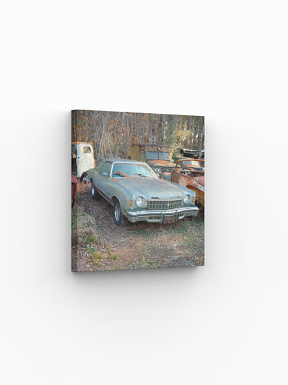 Photo Print  Yury Rachkov - Chevrolet Monte Carlo and the Pines