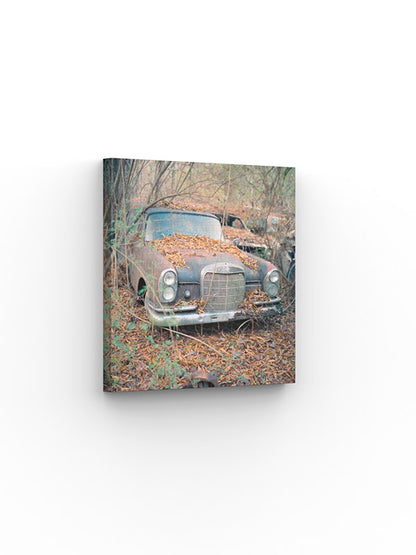 Photo Print  Yury Rachkov - The Leaf-Covered Legend