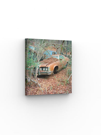 Photo Print  Yury Rachkov - Mercury Cougar 1973