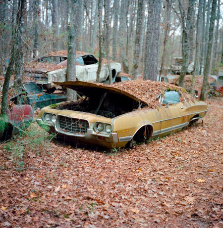 Photo Print Yury Rachkov - Golden Ghost of '72