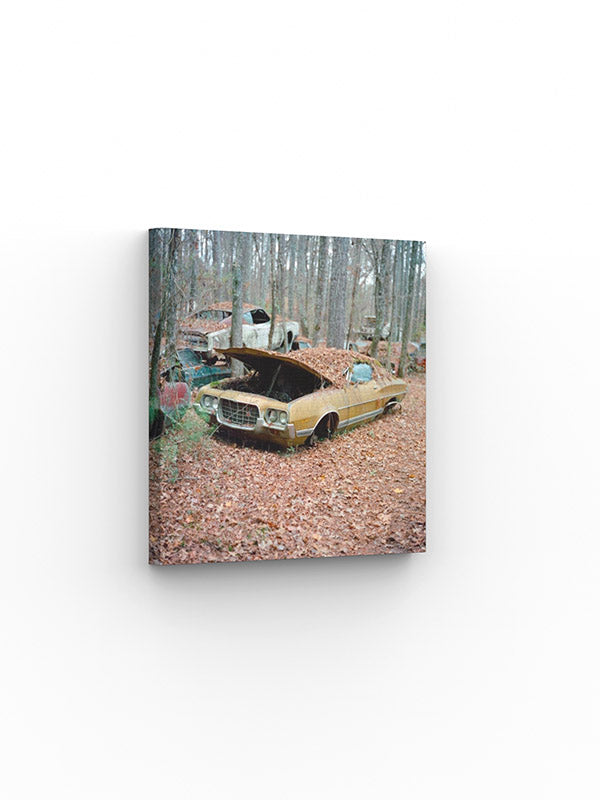 Photo Print Yury Rachkov - Golden Ghost of '72