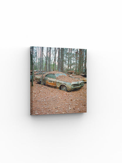 Photo Print Yury Rachkov - Buick Wildcat 1965