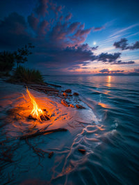 Art Print  BonsAI - Solace by the Sea