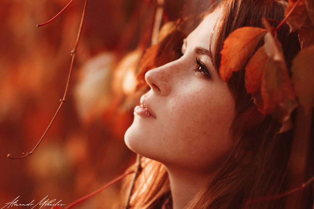 Photo Print Alexandr Mihailov - Autumn with Hope