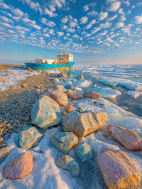 Art Print BonsAI - Arctic Echoes