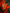 Art Print BogARTai - Explosion of Color
