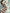 Art Print Alex Bush AI - Steps Beyond Reality