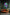 Art Print Abstract Lab AI - Sap & Spectrum
