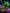 Art Print Abstract Lab AI - Neon Prism Bloom